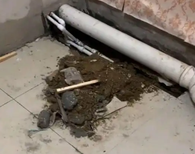 铁山港卫生间漏水检测哪家好