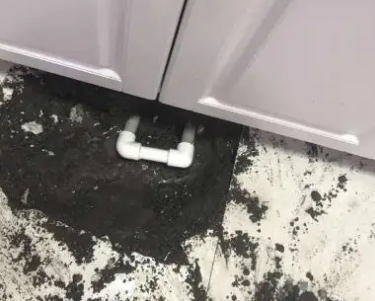 铁山港查漏水哪家好