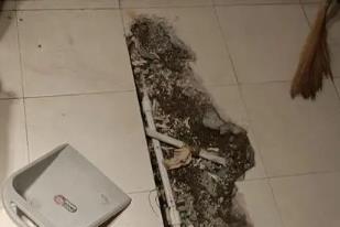 铁山港卫生间漏水检测电话